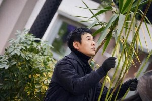 张颂文《灿烂的花园》热播，广东娱乐圈现状引热议