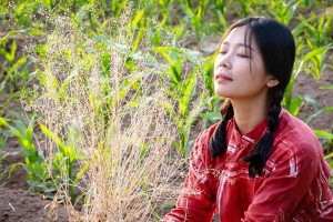 山区支教老师与单亲妈妈的暖心爱情故事