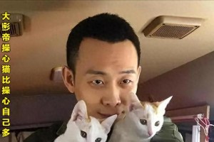 张译夫妇反传统婚姻：灵魂伴侣17年恩爱如初