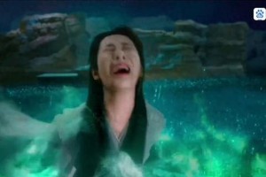 凤凰花开醉时光：浮华是非中的无悔人生