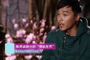 陈思诚风流史：从才子到争议导演的蜕变