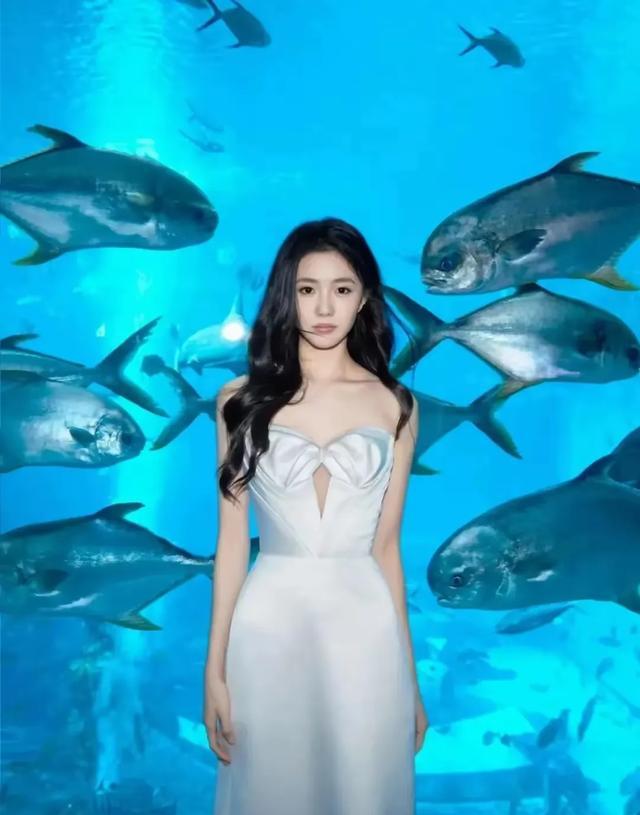 精美图片2