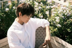 丁禹兮演过哪些电视剧？2023最新作品盘点